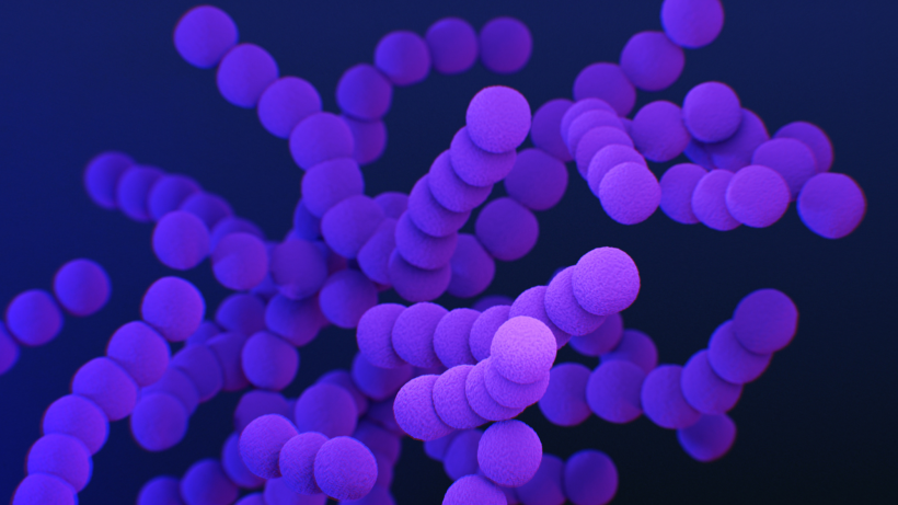 מוסמך בבריאות הציבור